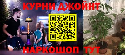 сатива Северобайкальск