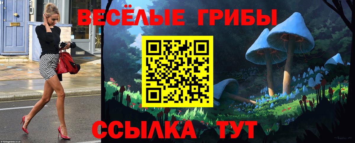 Березники  Галлюциногенные грибы Cubensis  Вход с VPN  Галлюциногенные грибы GOLDEN TEACHER 